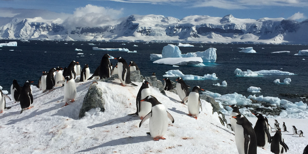 Antarctica Image