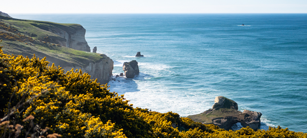 New Zealand